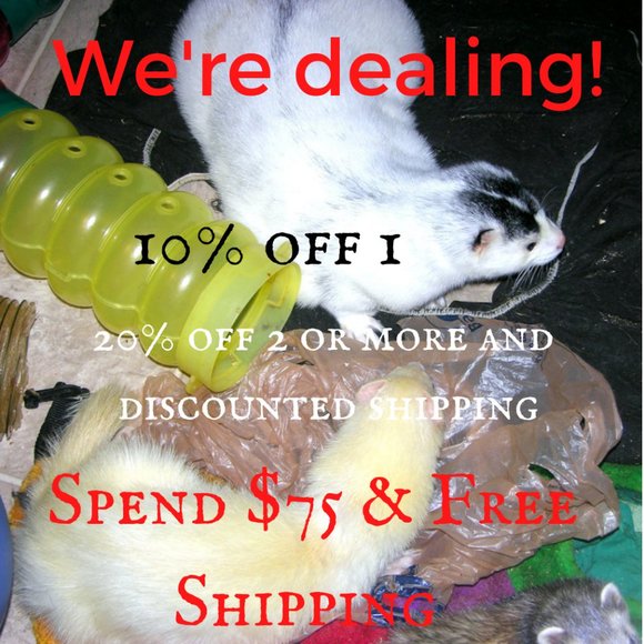 We're Dealing - Picture 1 of 1